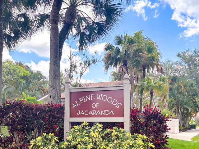 Alpine Woods of Jacaranda  photo 2